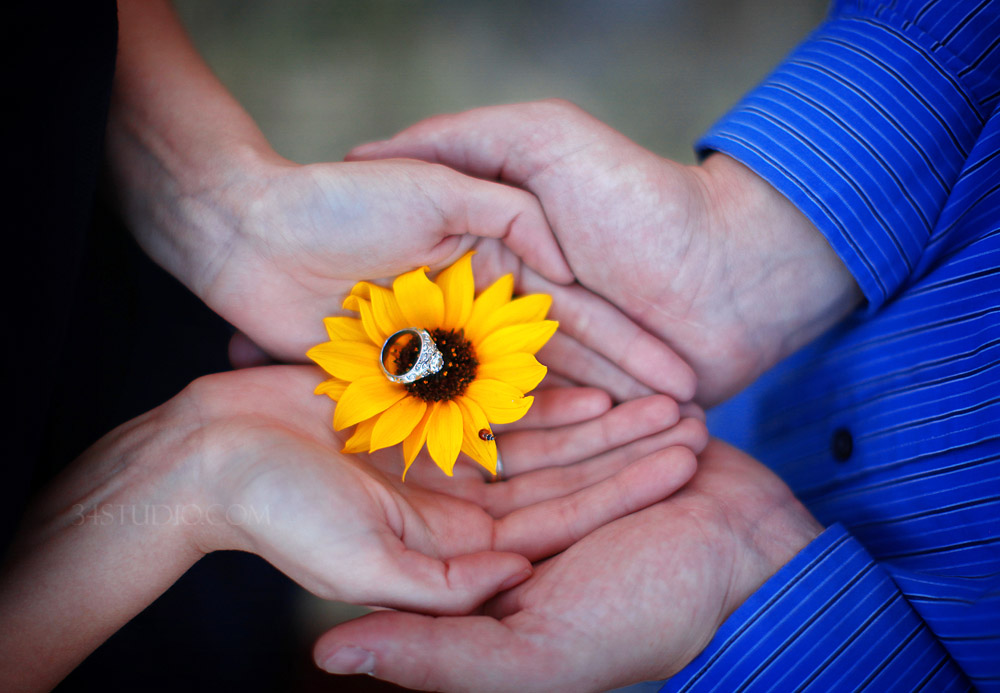 sunflower and ring ladybug wedding rings engagement picture